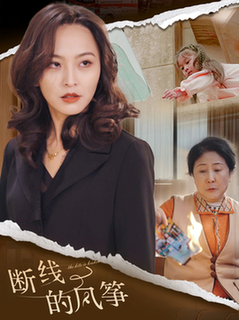 断线的风筝（30集全）-紫橙资源网