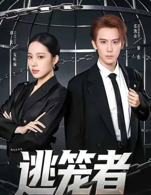 逃笼者（71集全）张凯帝＆谭笑-紫橙资源网