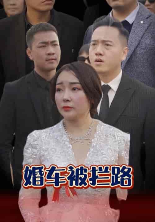 婚车被拦路（79集全）杨松川＆何凤-紫橙资源网