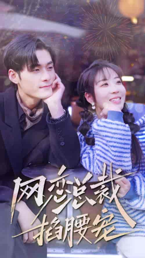 网恋总裁掐腰宠（93集）-紫橙资源网