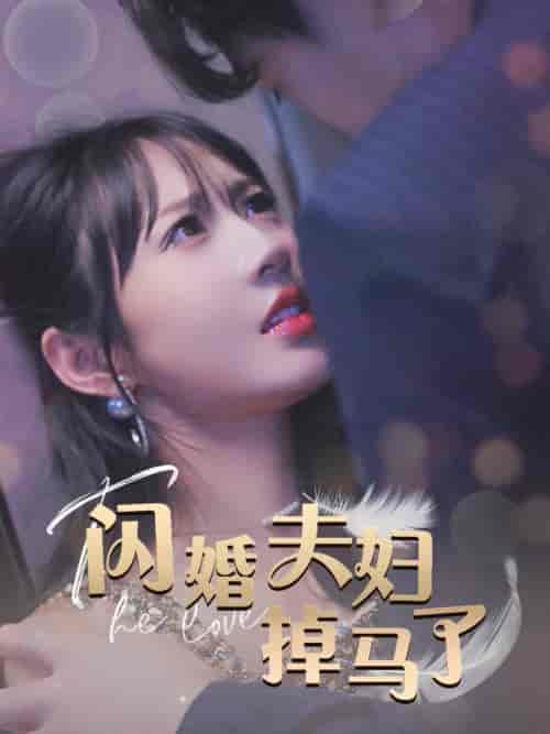 闪婚夫妇掉马了（40集全）-紫橙资源网