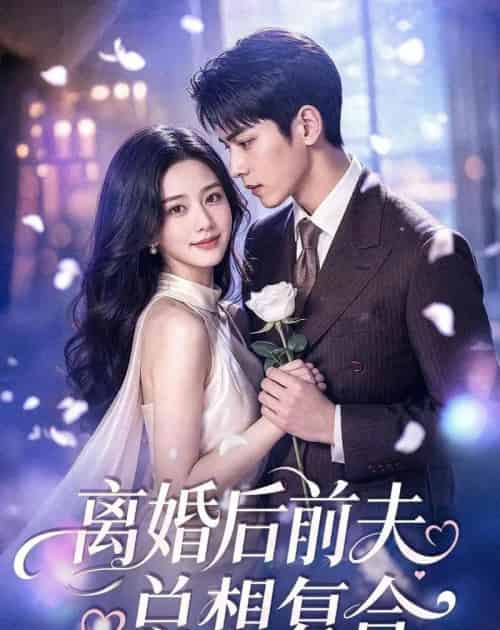 离婚后前夫总想复合（72集全）AI-紫橙资源网