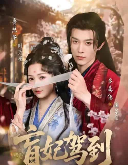 盲妃驾到（65集全）鲁照华＆李是侥-紫橙资源网