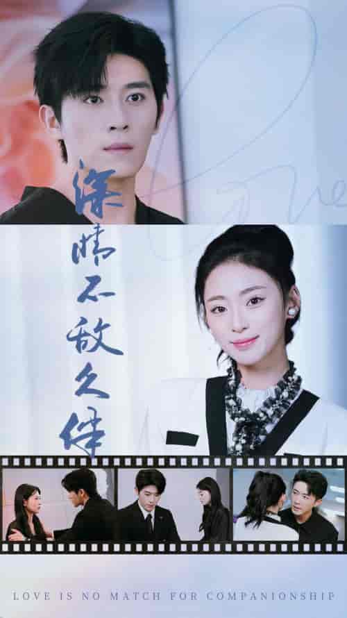 深情不敌久伴（50集）王美淇-紫橙资源网