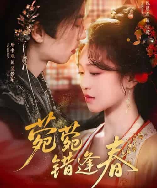 菀菀错逢春（62集全）唐书亚＆包晨希-紫橙资源网