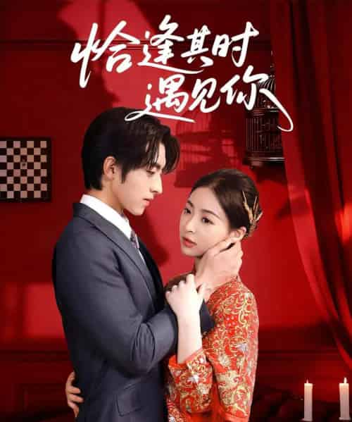 恰逢其时遇见你（60集）马世纪＆朱静 - 紫橙短剧