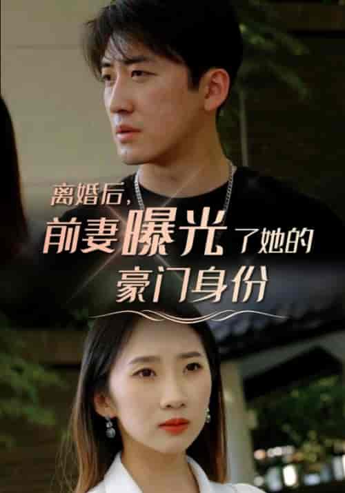 离婚后,前妻曝光了她的豪门身份(100集全)叶明辰&楚若离-紫橙资源网