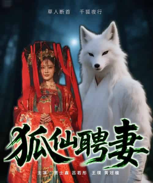 狐仙聘妻(30集)-紫橙资源网