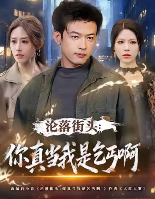 沦落街头：你真当我是乞丐啊（80集全）武鸿蕊＆马昂-紫橙资源网