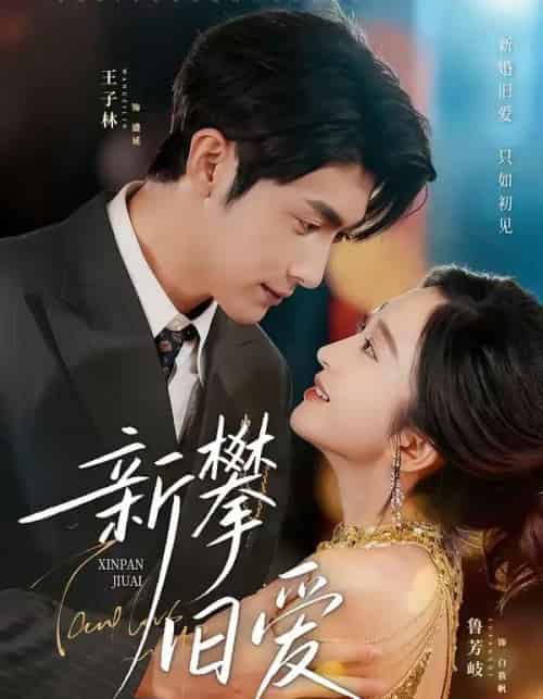 新攀旧爱(67集全)王子林&鲁芳岐-紫橙资源网