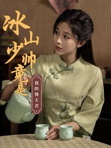 冰山少帅竟是我的傻夫君（86集全）-紫橙资源网