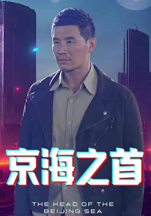 京海之首（103集全）赵凡＆徐倩云-紫橙资源网