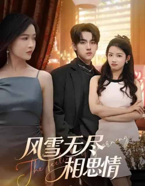 风雪无尽相思情(61集全)李珊&詹琸-紫橙资源网