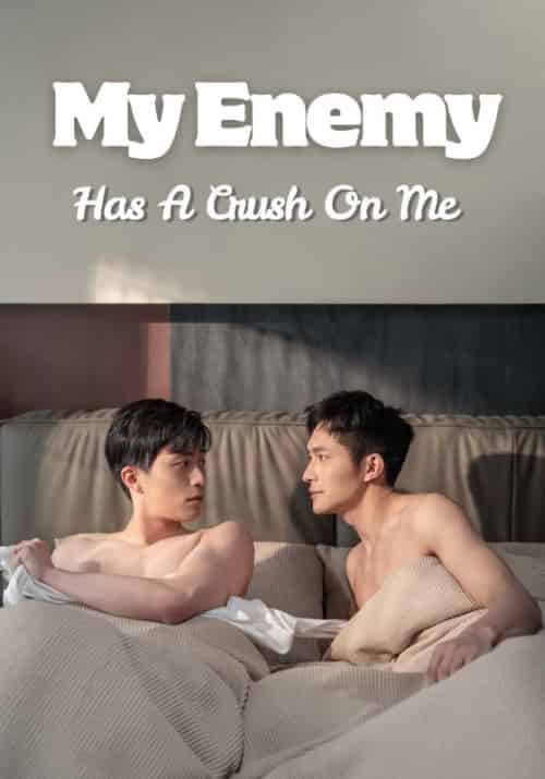 My Enemy Has A Crush On Me（19集全）Fu＆Ci＆Jiang＆Nai-紫橙资源网