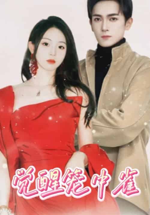 觉醒笼中雀（82集全）傅怀安＆安愿-紫橙资源网