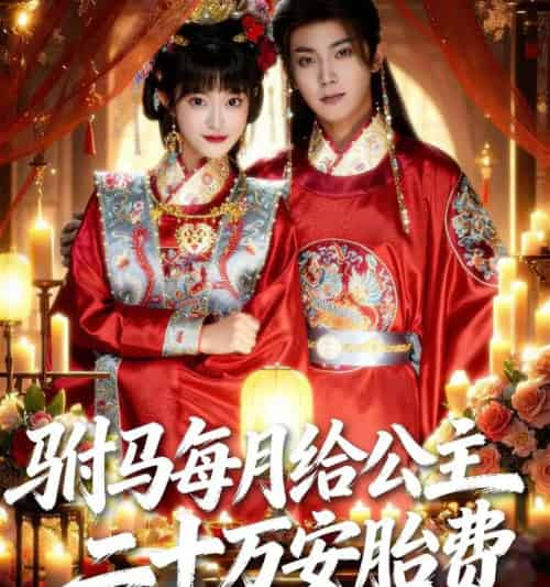 驸马每月给公主二十万安胎费（80集-紫橙资源网