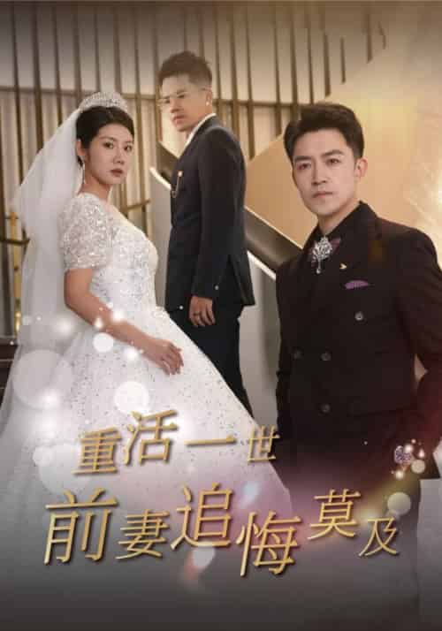 重活一世前妻追悔莫及（56集全）裴诚＆苏禾-紫橙资源网