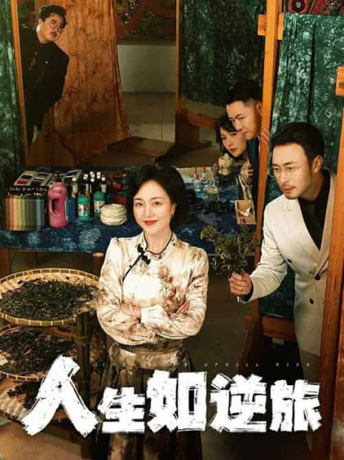 人生如逆旅（54集全）罗雪琼-紫橙资源网