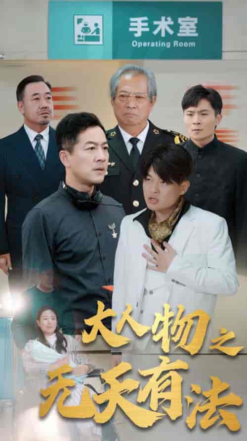 新大人物之无天有法（35集全）-紫橙资源网