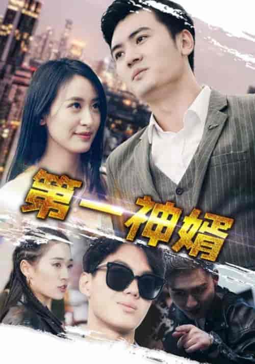 第一神婿(110集全)伍昕宇-紫橙资源网