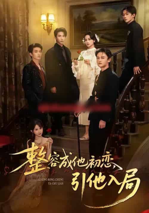 整容成他初恋,引他入局(65集全)彭慧玲&李昊成-紫橙资源网