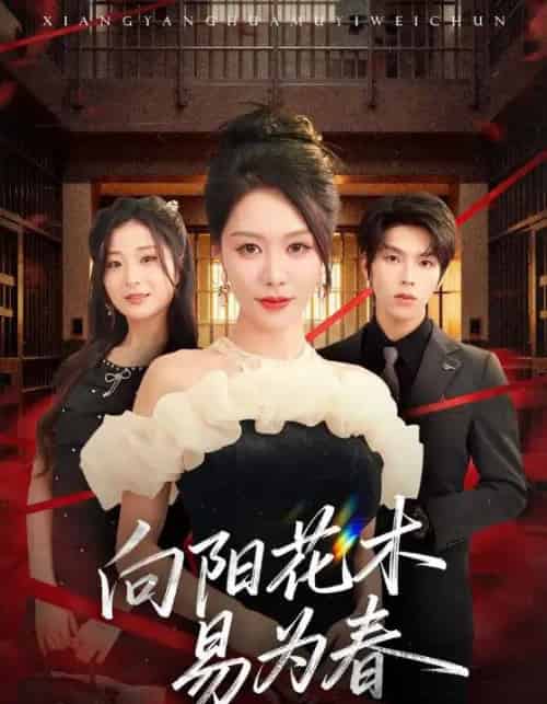 新：向阳花木易为春（72集全）钟莹玲＆向帅-紫橙资源网