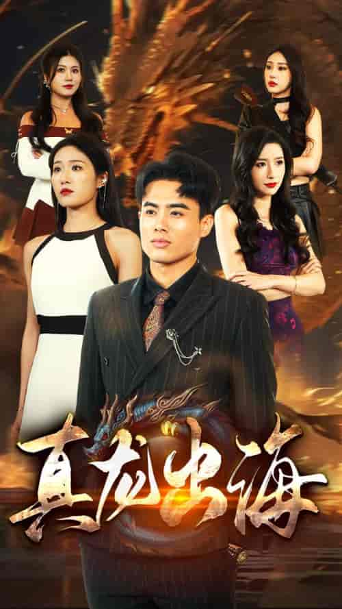 真龙出海（80集）宋楠-紫橙资源网