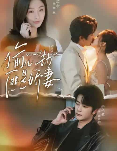 偷心劫匪是娇妻＆偷“心”劫匪是娇妻（61集全）于伦豪＆迟宁宁-紫橙资源网