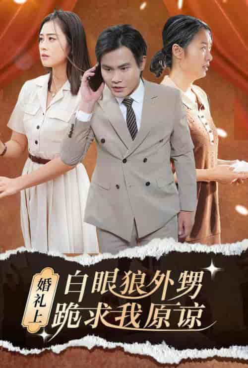 婚礼上白眼狼外甥跪求我原谅(35集全)-紫橙资源网