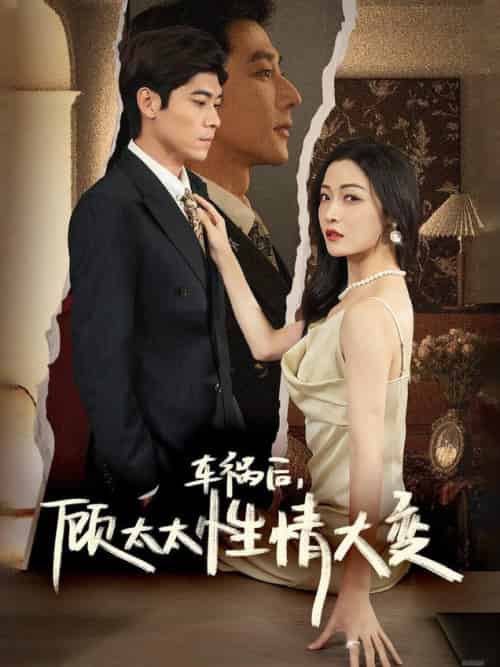 车祸后顾太太性情大变（65集全）于叔＆白野-紫橙资源网