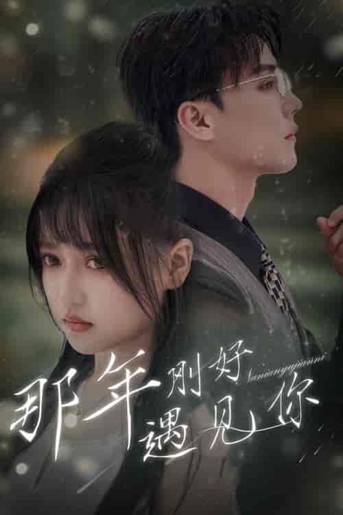 那年刚好遇见你＆那年遇见你（62集）-紫橙资源网