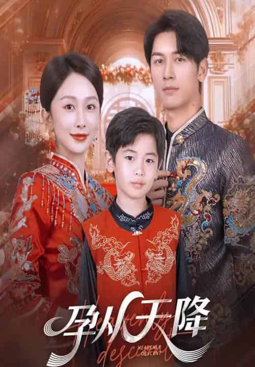 孕从天降（70集全）-紫橙资源网