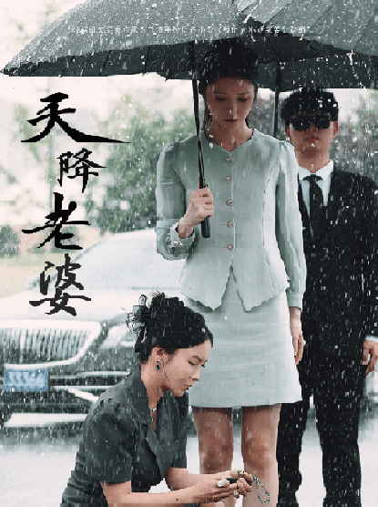 天降老婆（81集全）李若希-紫橙资源网