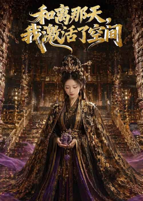 和离那天，我激活了空间（95集全）AI-紫橙资源网