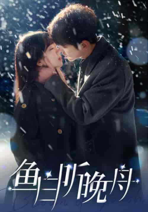 鱼白听晚舟(99集)徐兰迪-紫橙资源网