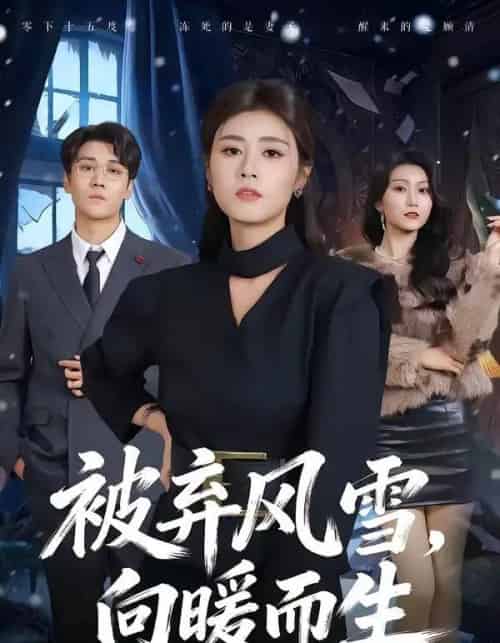 被弃风雪,向暖而生(60集全)郭嘉铭&邹洁仪-紫橙资源网