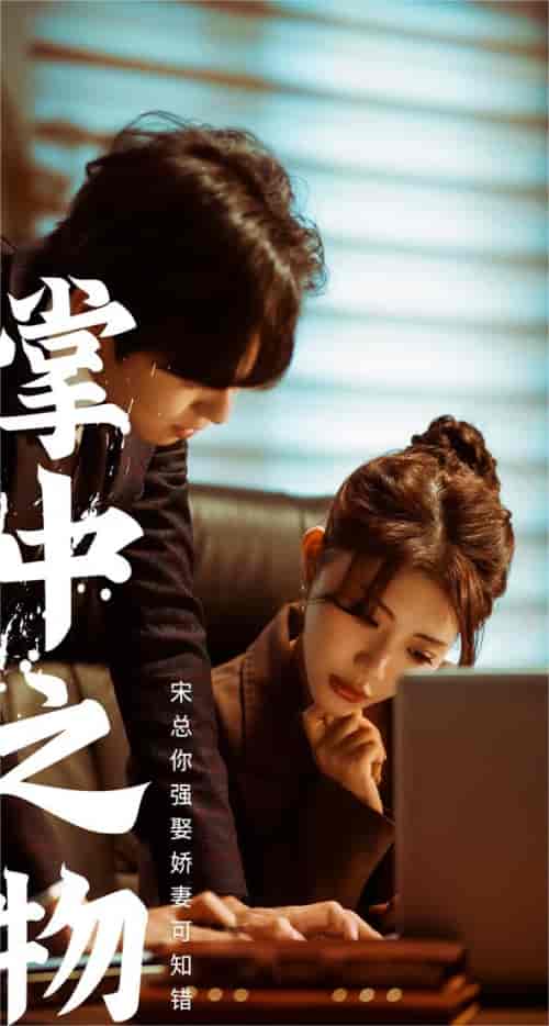 掌中之物：宋总娶娇妻可知错（97集）-紫橙资源网