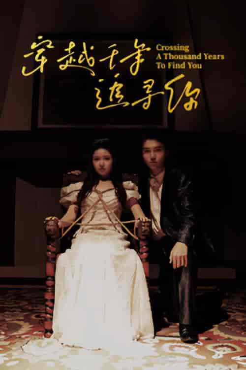穿越千年追寻你（100集）-紫橙资源网