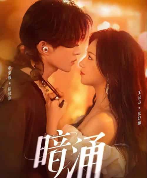 暗涌(97集全)张集骏&王云云-紫橙资源网