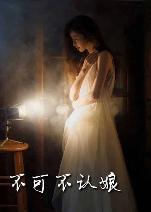 不可不认娘（32集全）-紫橙资源网