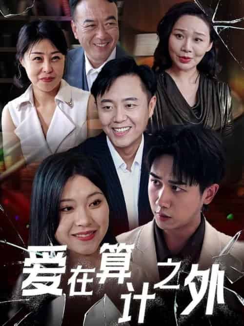 爱在算计之外(25集全)张风眠&马德-紫橙资源网