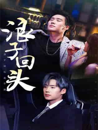 浪子回头&浪子回头金不换(78集)-紫橙资源网