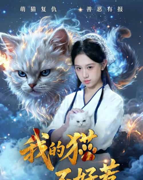 我的猫不好惹(42集全)江来&陈鸿运-紫橙资源网