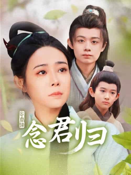 念君归（77集全）千婵-紫橙资源网