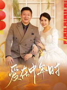 爱在中年时（40集全）-紫橙资源网