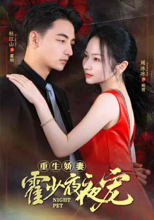 重生娇妻霍少夜夜宠(82集)霍焰&姚雪-紫橙资源网