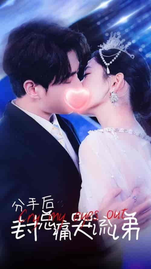 分手后封总痛哭流涕（64集全）-紫橙资源网