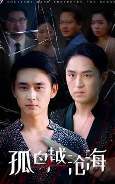 孤鸟越沧海 （60集全） 陈柄希＆张梦薇-紫橙资源网