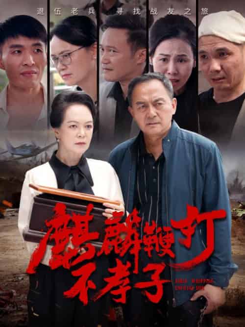 麒麟鞭打不孝子（78集全）陈建国＆赵红霞-紫橙资源网