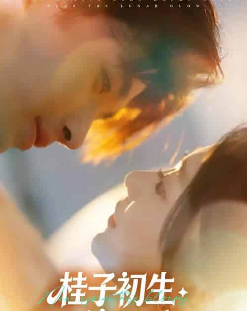 桂子初生傍月香(70集全)林秋一&姜伊曼-紫橙资源网